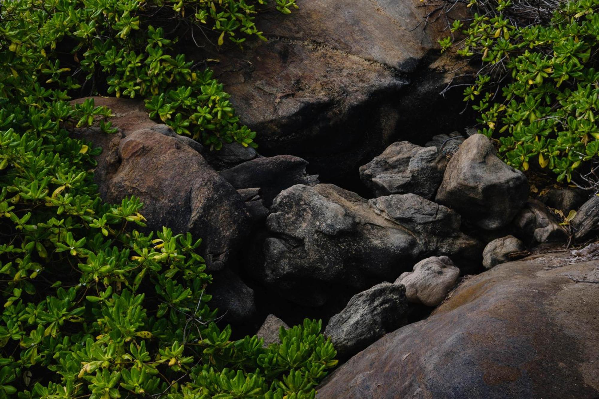 Treasure Rock Bed & Breakfast Kirinda  Luaran gambar