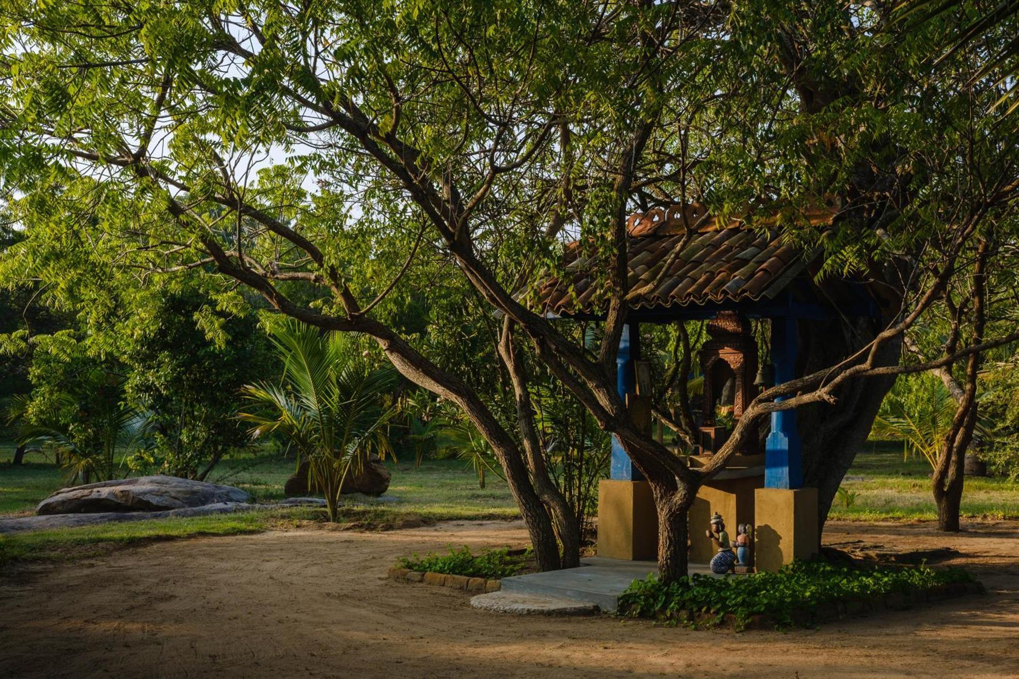 Treasure Rock Bed & Breakfast Kirinda  Luaran gambar